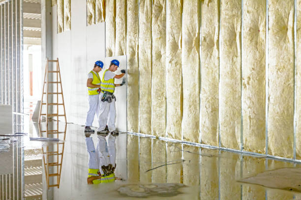 Best Insulation Maintenance and Repair in Asotin, WA